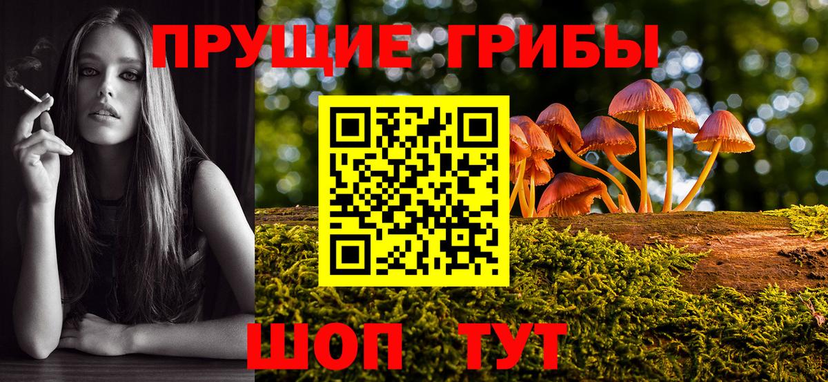 Жигулёвск  Галлюциногенные грибы Magic Shrooms  Псилоцибиновые грибы мухоморы  закладки  Вход с VPN 