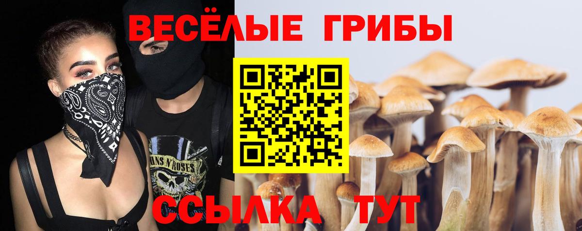 Псилоцибиновые грибы ЛСД Жигулёвск